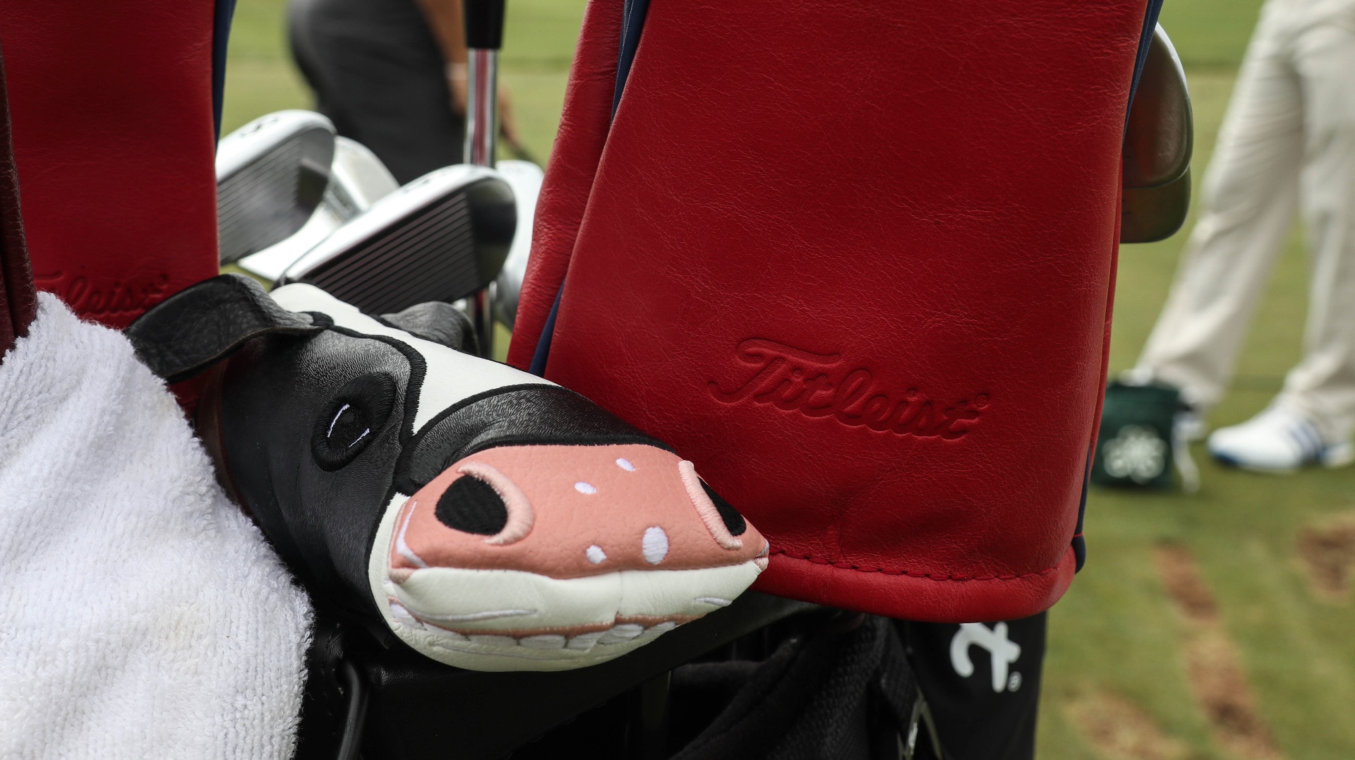 A look inside Bud&#39;s Titleist bag to see the de...