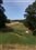 John F., Golf Ball Fitting Team