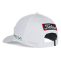Green Out Tour Standard Curve