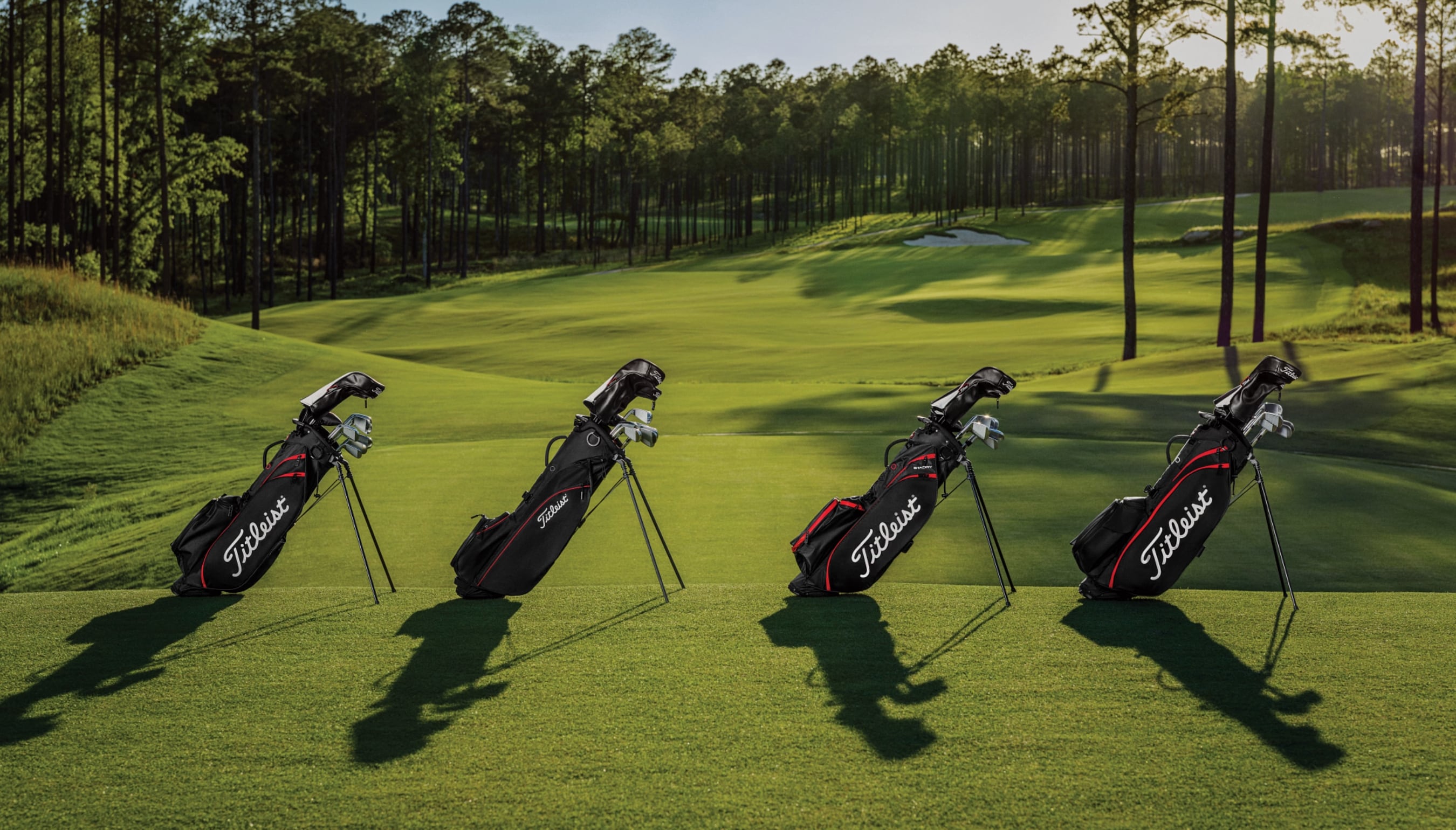 Golf Bag Selector