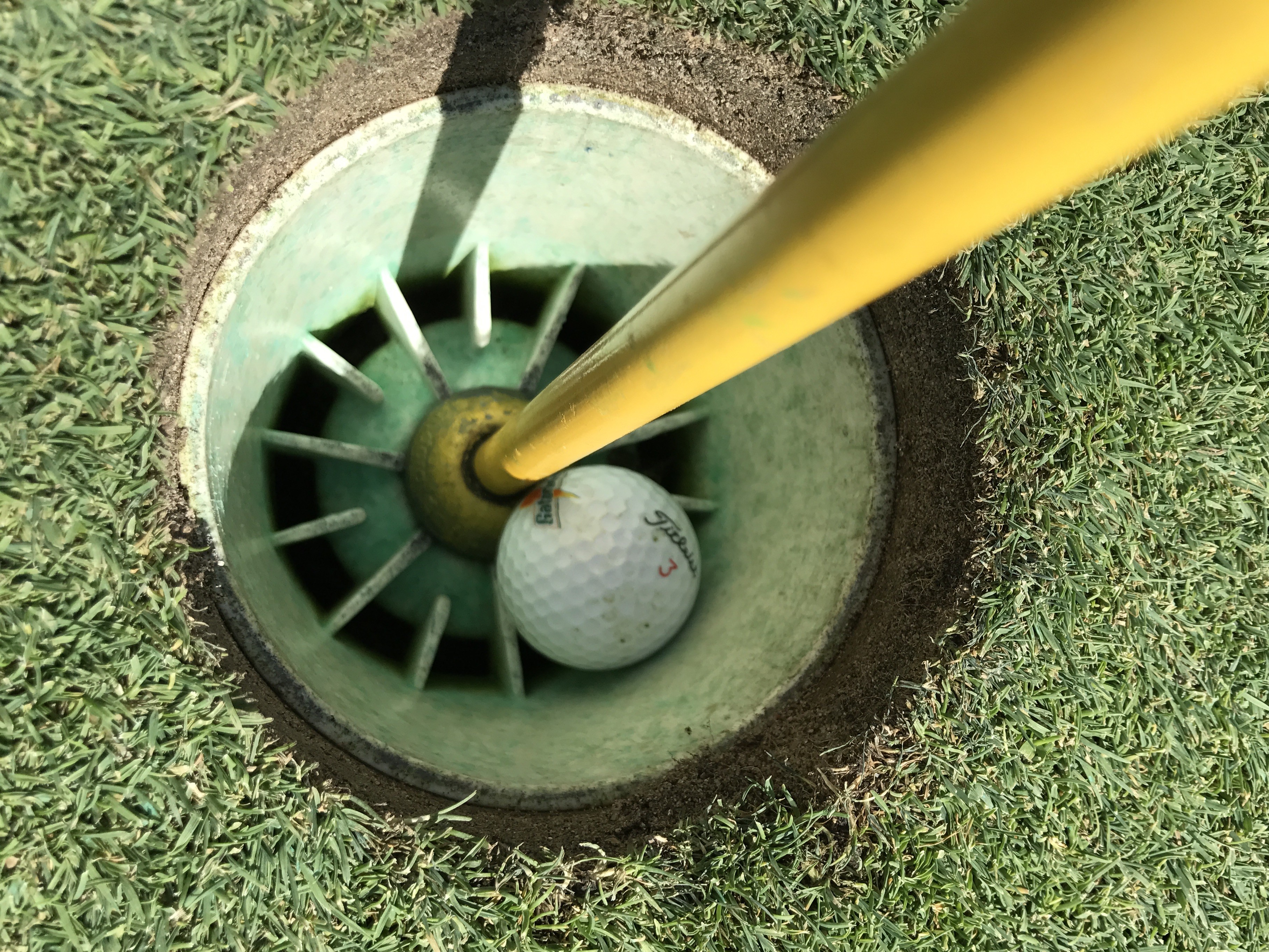 Witness History: Usmnt Star'S Amazing Par 4 Hole In One! - 0xj9u8n