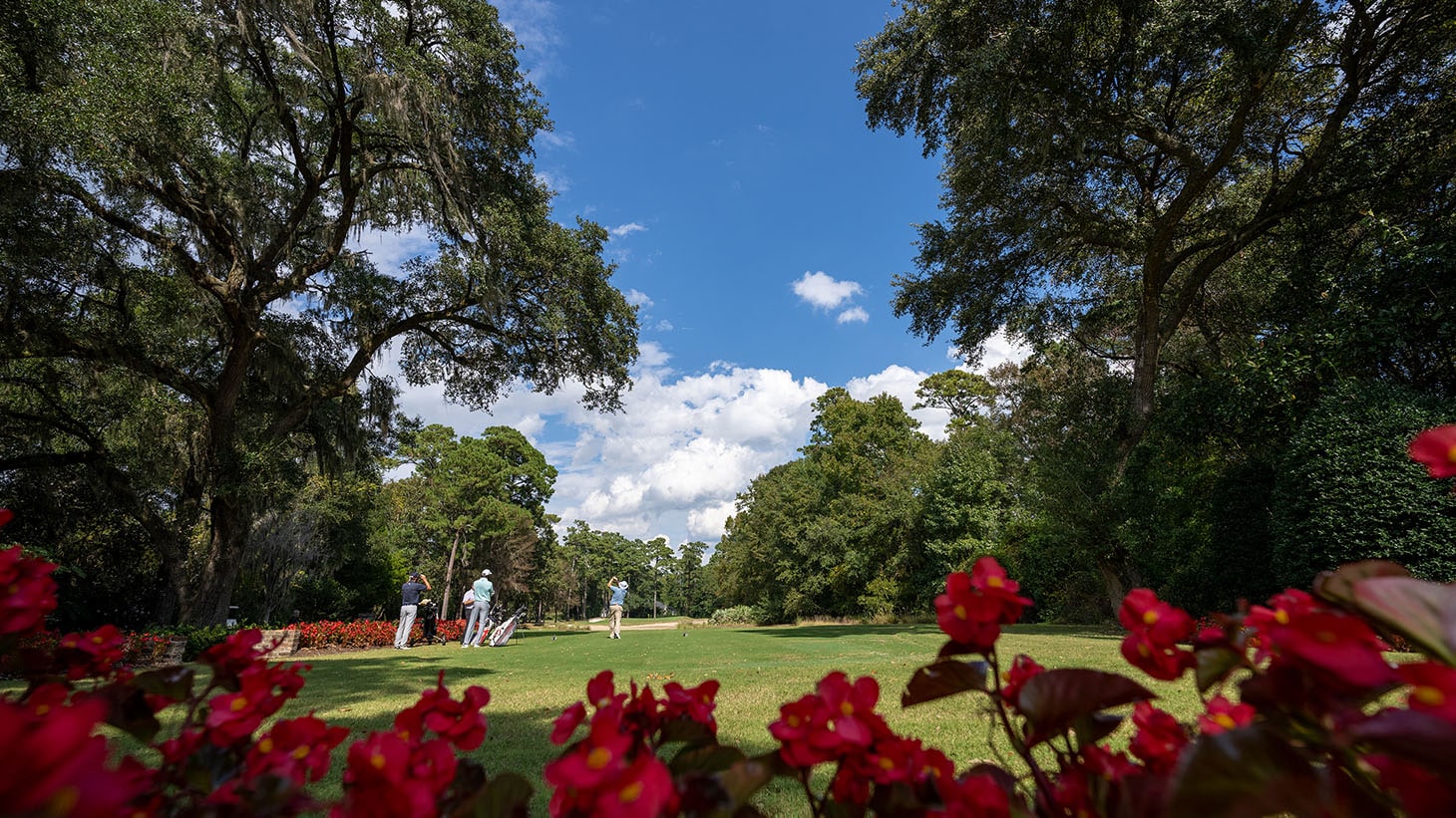 Beautiful flora surrounding the tee box as...