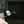 janne s