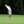TitleistBaller