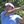 golf001