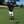 Tee1upinTX