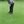 Andy Gray