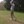 matthew s
