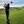 Steven Chapman