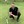 Dave H