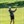 TWalker