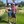 4e4e77167a