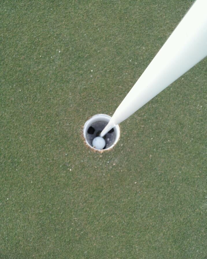 Hole in One on a Par 4