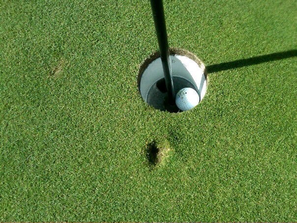 Hole in One