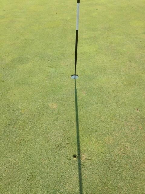 Best witnesses for my First Ace