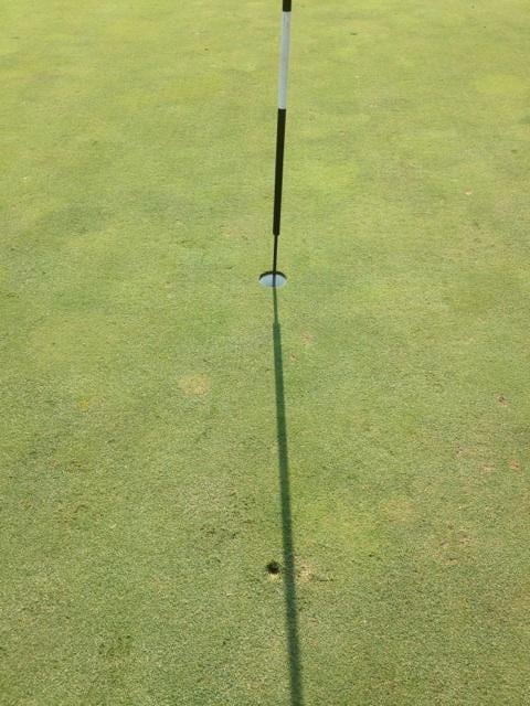 Best witnesses for my First Ace