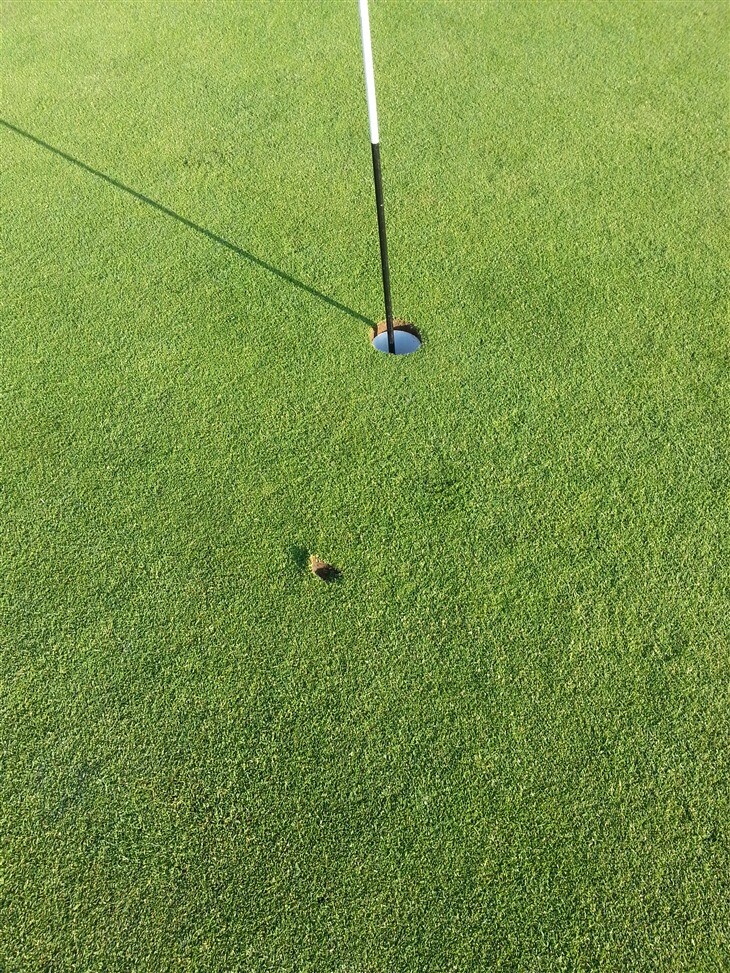 2 HOLE IN ONES in 5 days