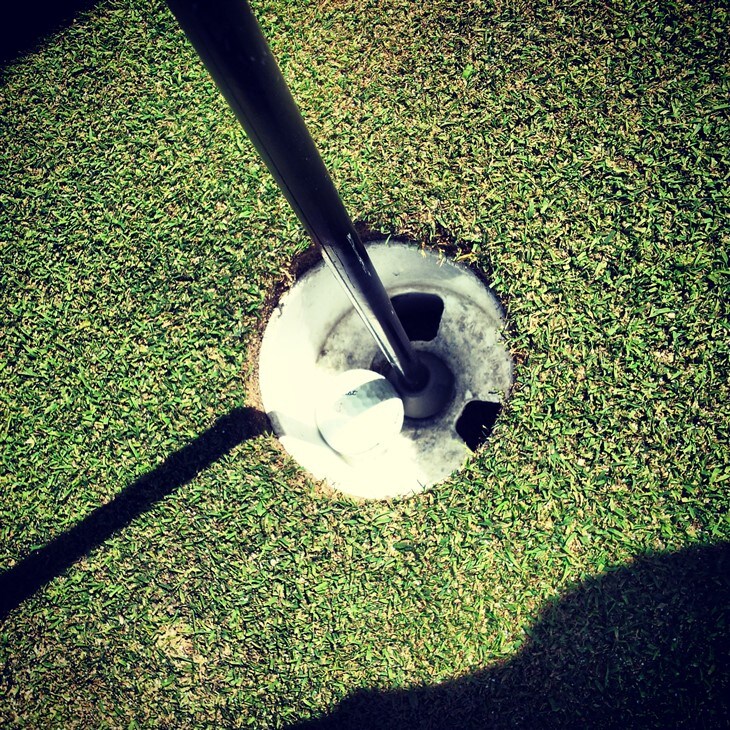 First Albatross