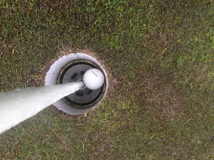 My first ace and albatross