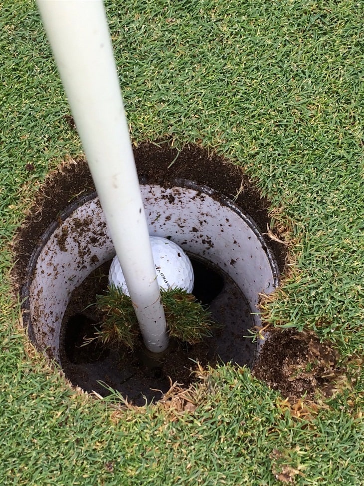 Ace in the Hole 