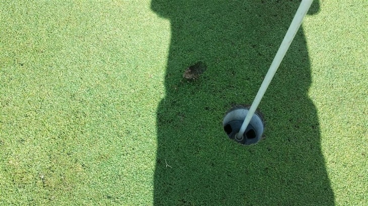My First Ace 