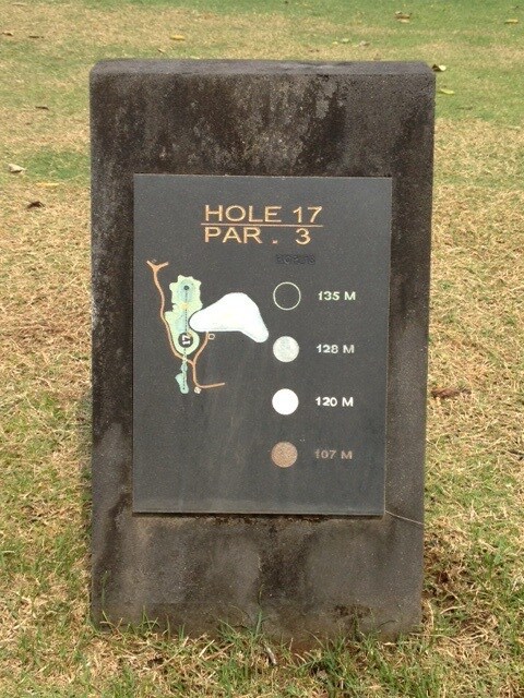 Hole in one 