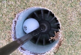 It's a Winner! - Pulplvr