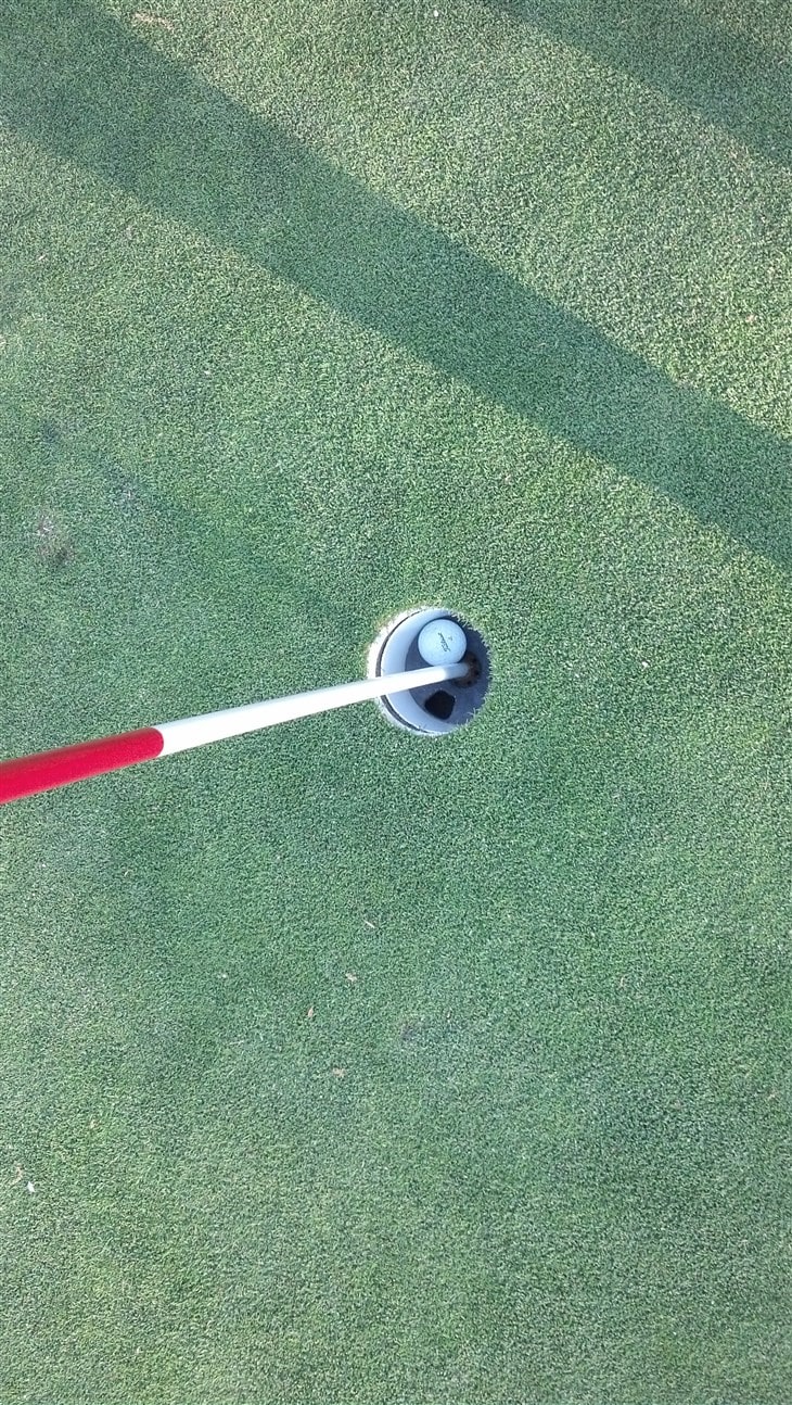 Hole in One ball picture