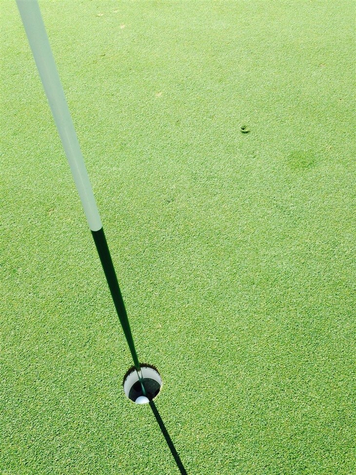 Hedgepeth Hole In One