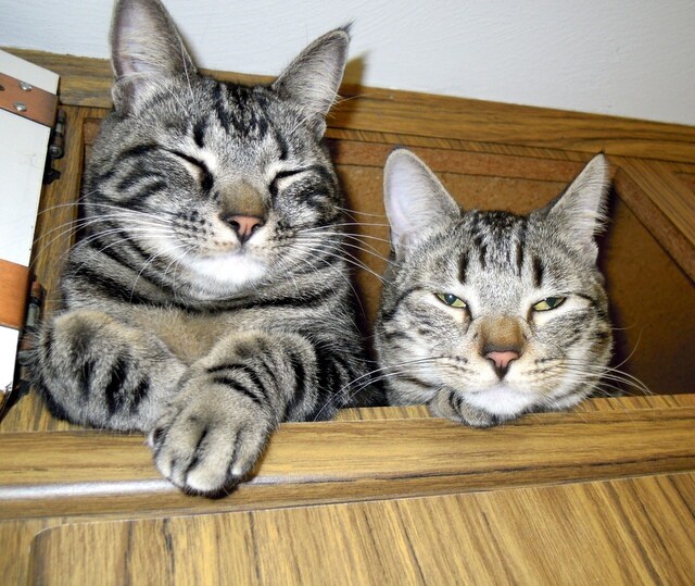 My fIrst Hole In One! 