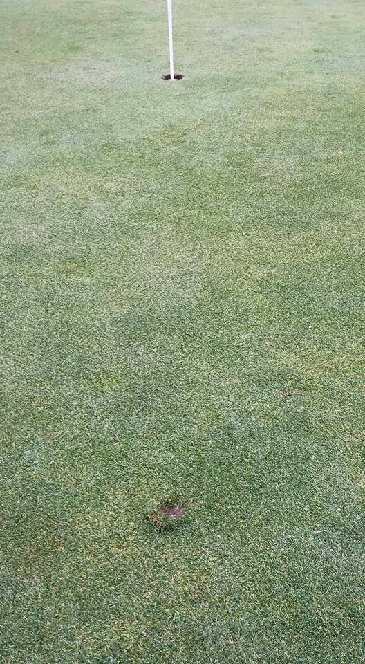 Saving It For A Rainy Day