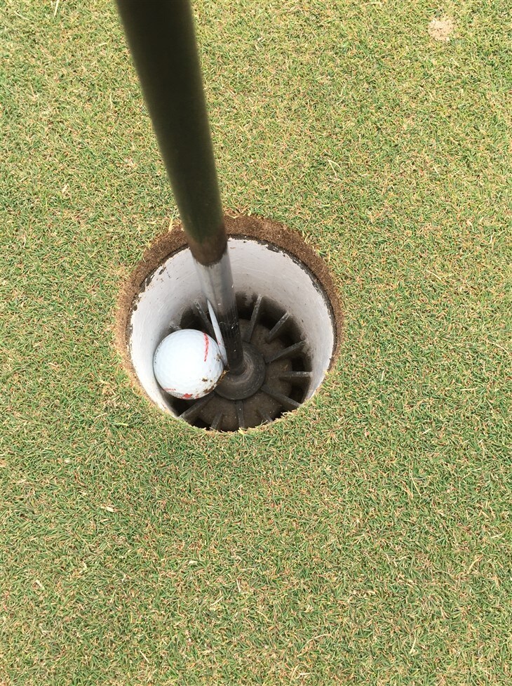 Nice Ace