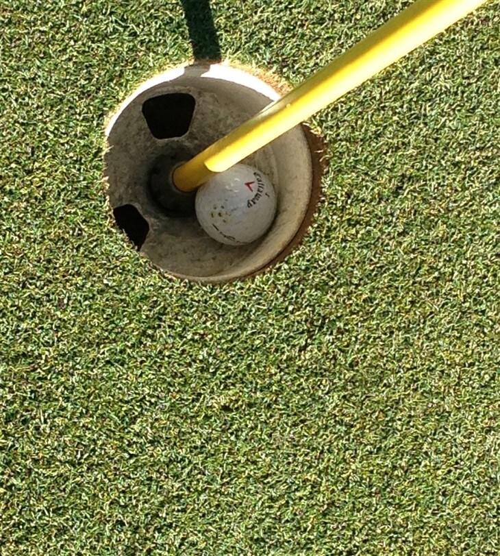 HOLE IN ONE  OR ALBATROSS on a par 4