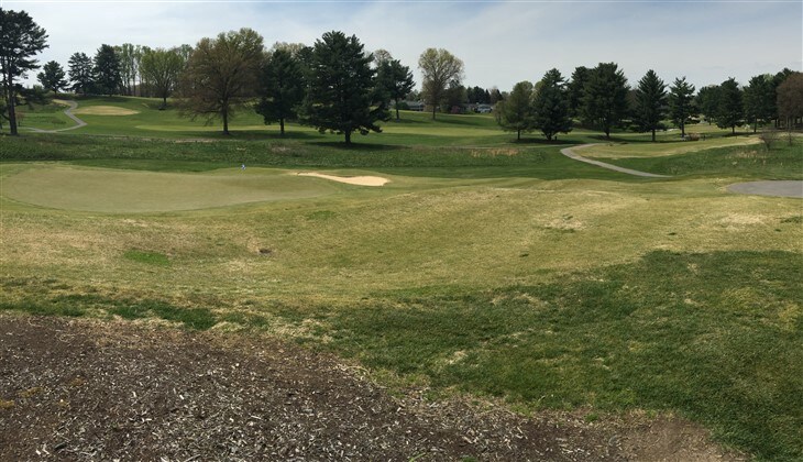 My very first hole in 1!