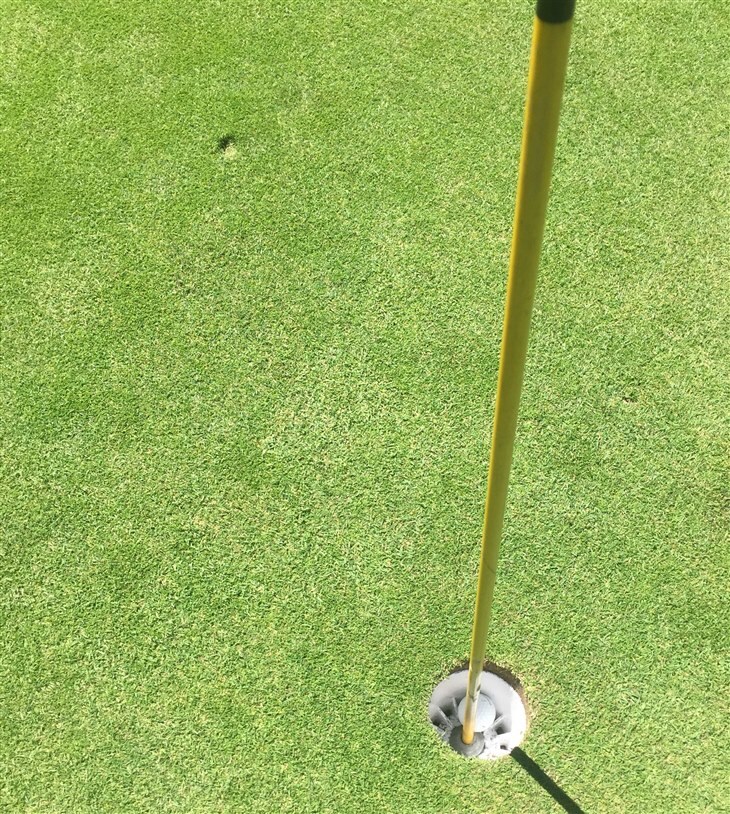 Northern Michigan Ace at NMU golf course