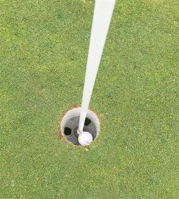 Hole in one after playing for 31 years
