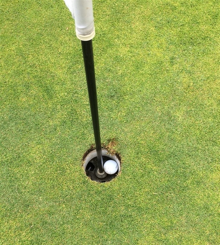 Mark me down for a 1 on that hole