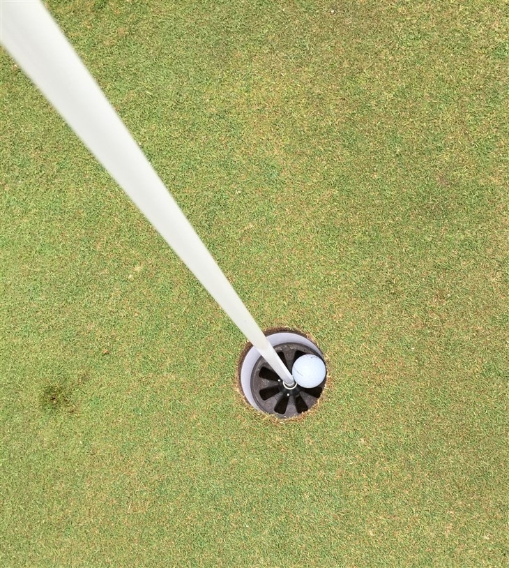 "I think it went in..."