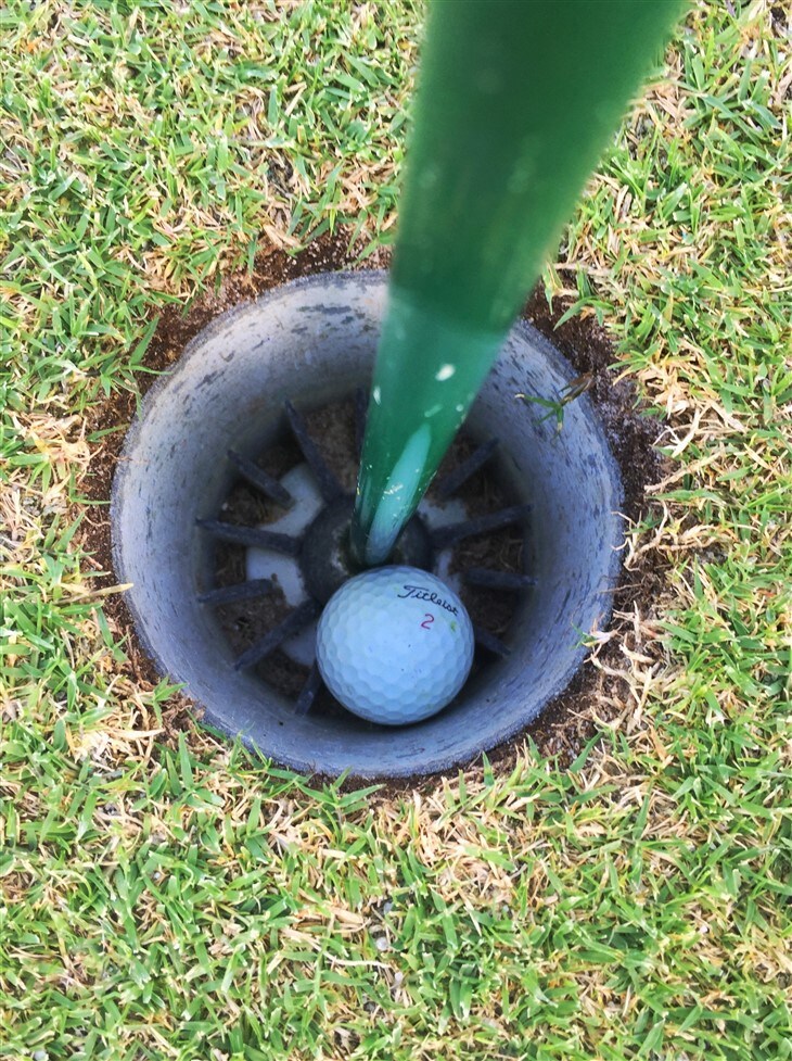 Where's my ball?