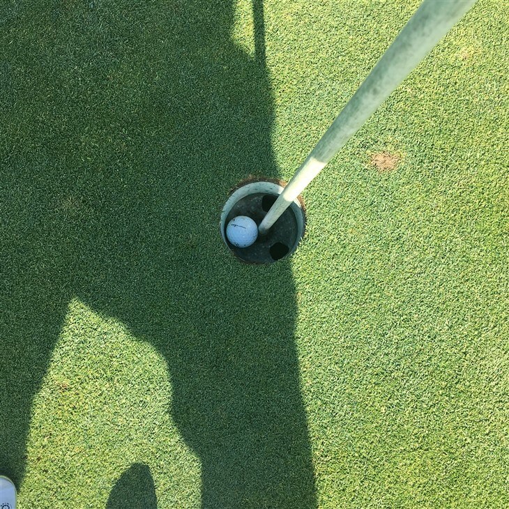 Too bad I didn't see it