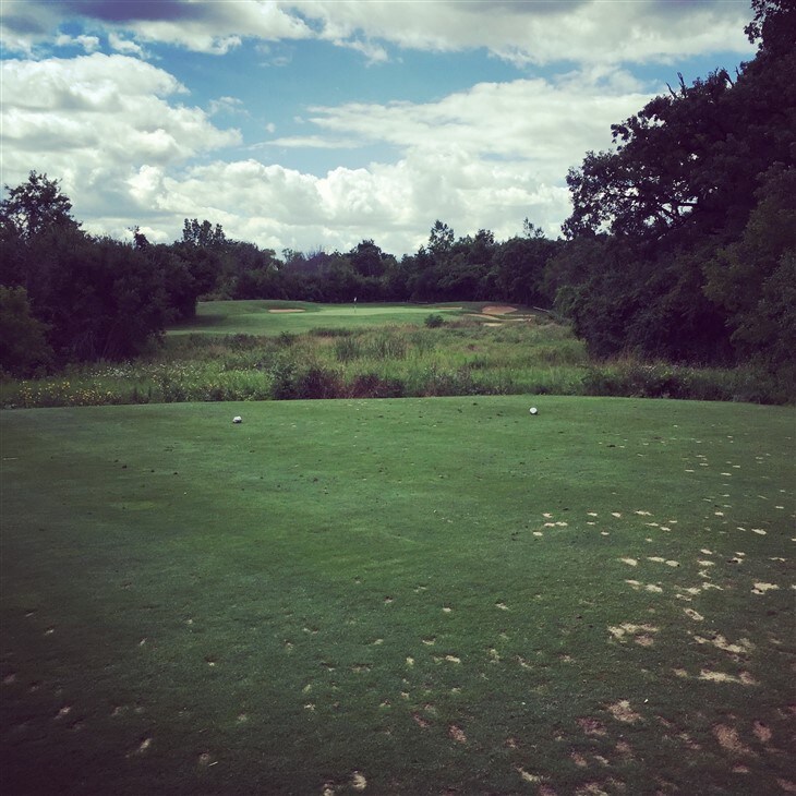 ProV1 spins back into hole for hole in one
