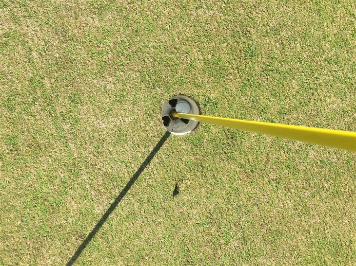 After 30 years.. Got one..  Finally!