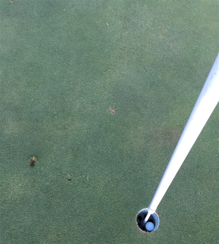 1st Hole in One with my ProV1 X