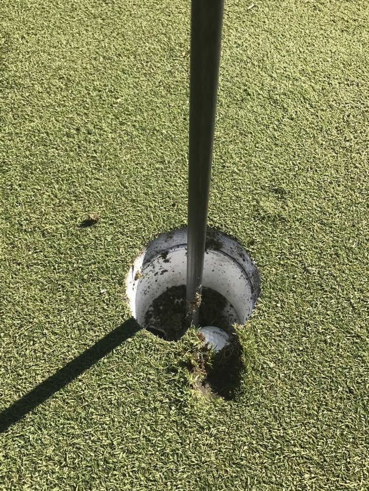 Hole in one from 195 yards on the fly.