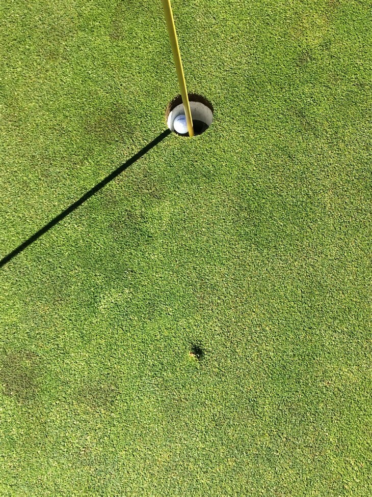 First hole in one after playing for 20 years