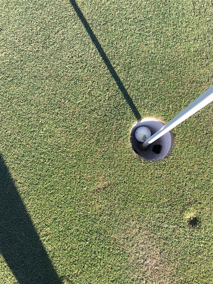 Hole 15 Westwood muni.