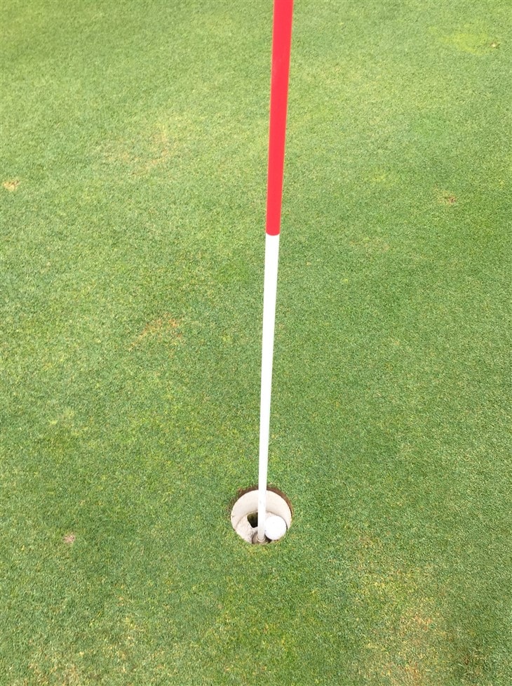 #11 Ironwood Golf  Course, Howell Mi.