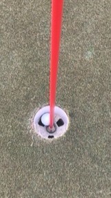 Rare Albatross on Easter Sunday!