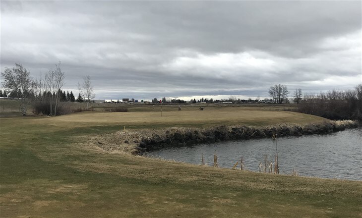 The &quot;lost&quot; albatross