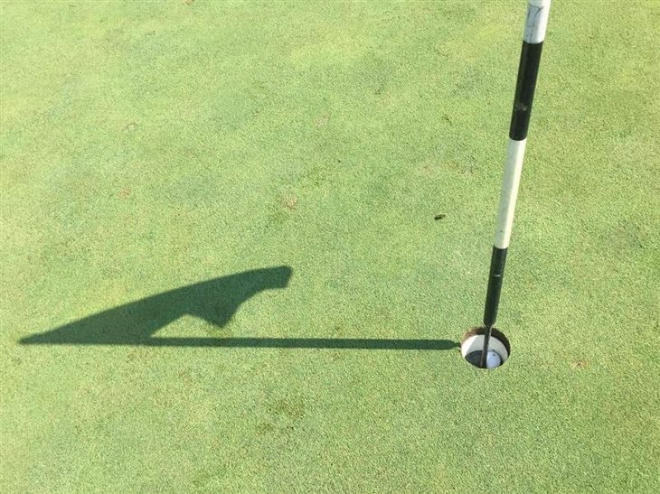 First Hole in One